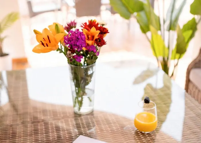 Enchanting Portocervo 別荘 *